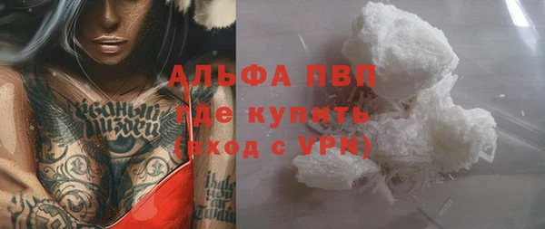 прущие грибы Балабаново