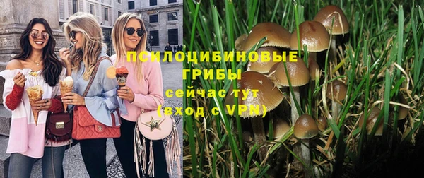 гидра Баксан