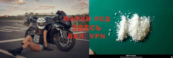 прущие грибы Балабаново