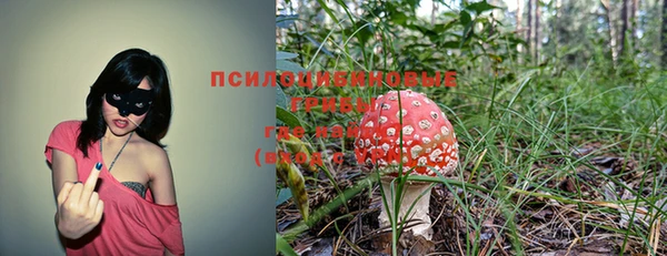 гидра Баксан