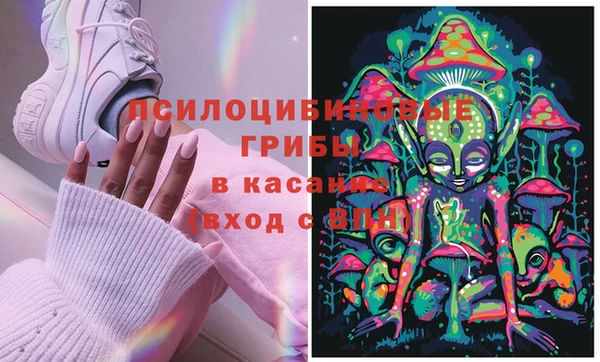 прущие грибы Балабаново